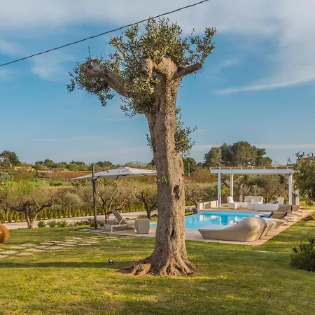 Trulli Terralunga Holiday home Martina Franca